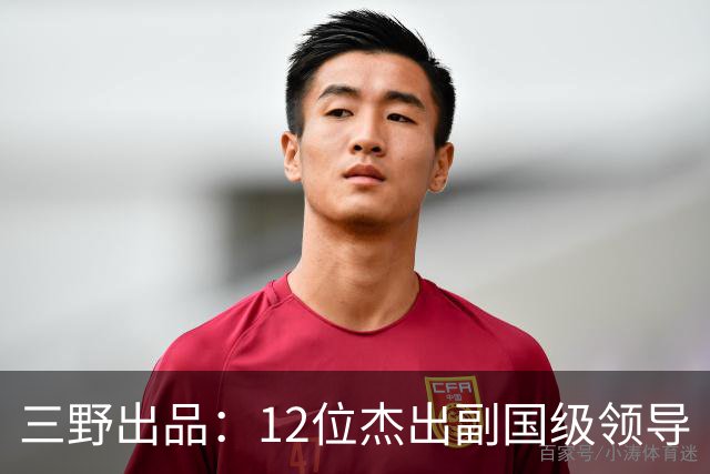 三野出品：12位杰出副国级领导