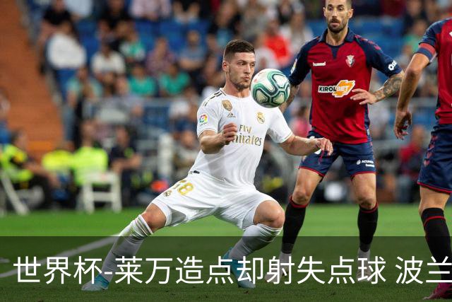 世界杯-莱万造点却射失点球 波兰交白卷平墨西哥