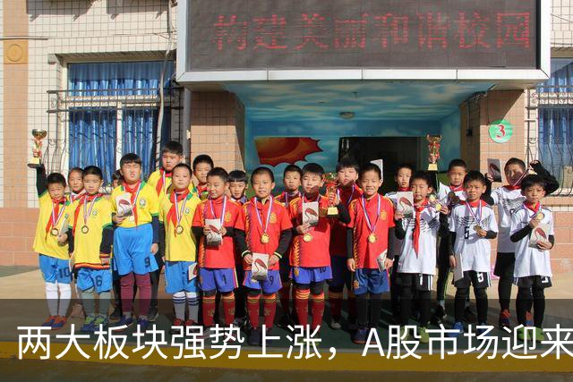 两大板块强势上涨，A股市场迎来活跃局面