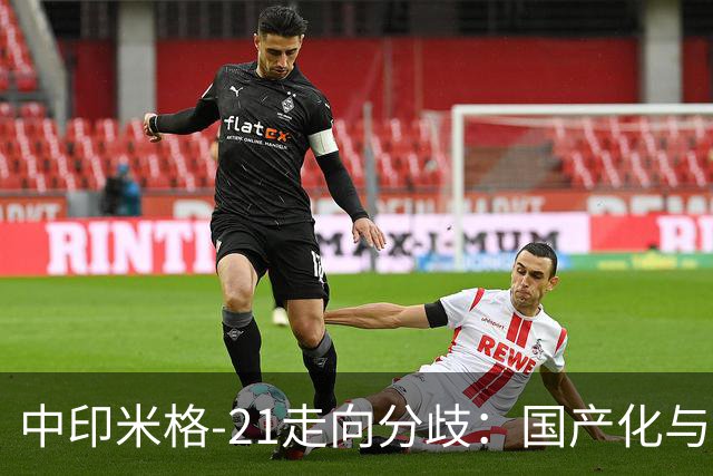 中印米格-21走向分歧：国产化与技术积累的不同结局