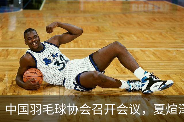 中国羽毛球协会召开会议，夏煊泽被解除副主席职务