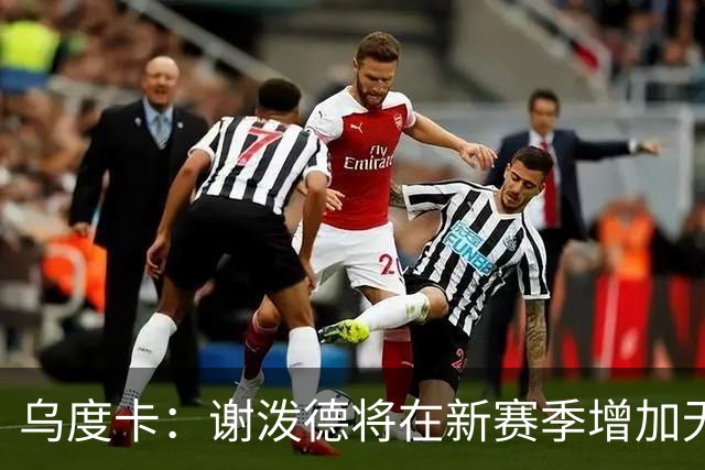乌度卡：谢泼德将在新赛季增加无球进攻角色