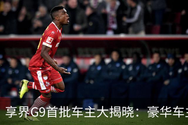 享界G9首批车主大揭晓：豪华车主占比高达80%