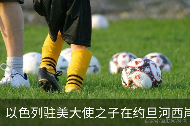 以色列驻美大使之子在约旦河西岸遭袭重伤