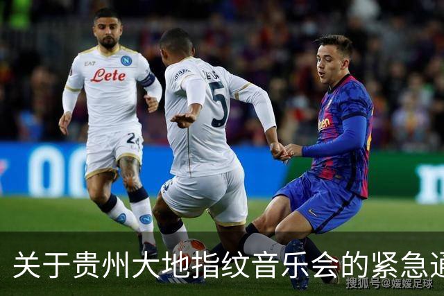 关于贵州大地指纹音乐会的紧急通知
