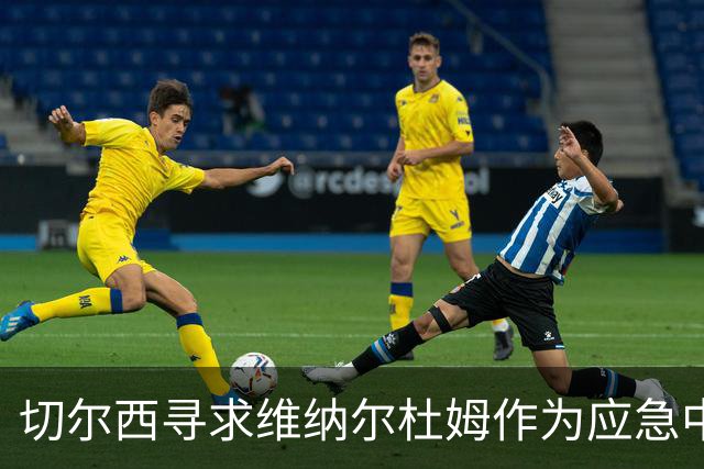 切尔西寻求维纳尔杜姆作为应急中场补充