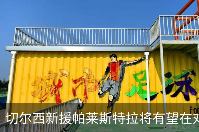 切尔西新援帕莱斯特拉将有望在对阵布伦特福德时复出