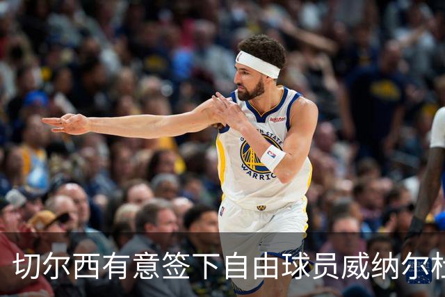 切尔西有意签下自由球员威纳尔杜姆