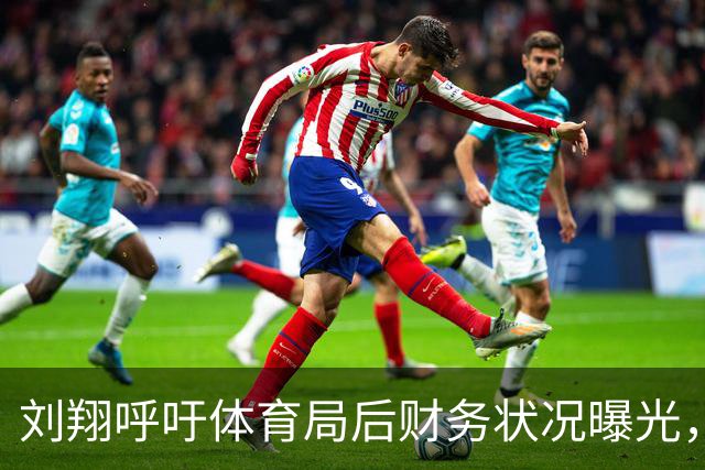 刘翔呼吁体育局后财务状况曝光，保障收入引发关注