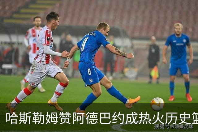 哈斯勒姆赞阿德巴约成热火历史篮板王：打破记录是目标
