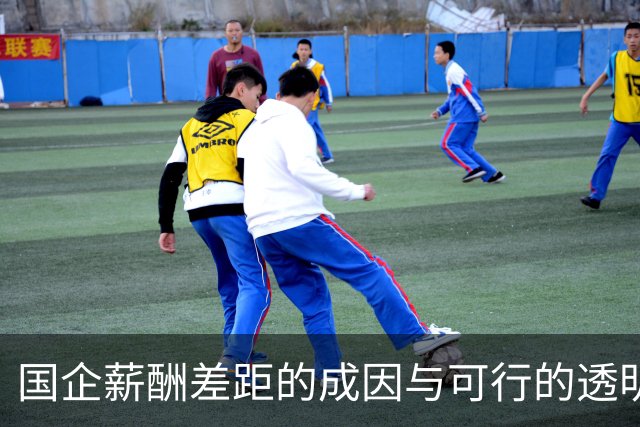 国企薪酬差距的成因与可行的透明化路径
