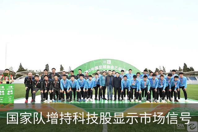 国家队增持科技股显示市场信号