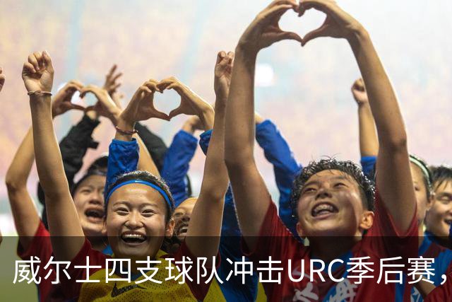 威尔士四支球队冲击URC季后赛，卡迪夫成唯一过关者
