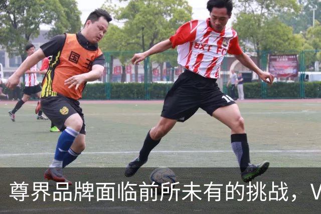 尊界品牌面临前所未有的挑战，V800车型何以引发危机？
