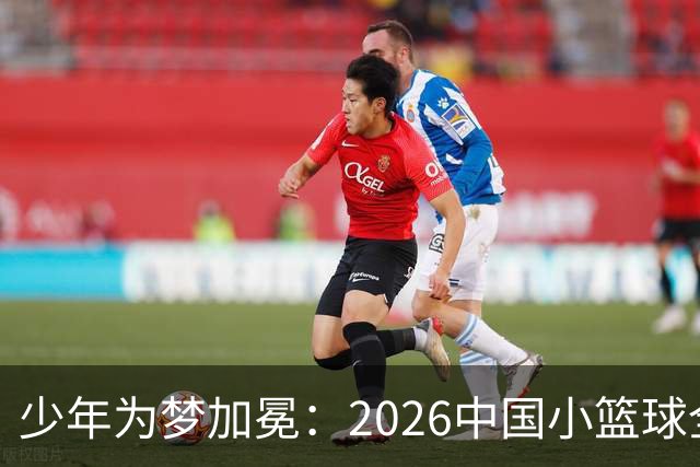 少年为梦加冕：2026中国小篮球全国总决赛在延庆落幕