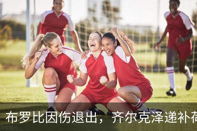 布罗比因伤退出，齐尔克泽递补荷兰队