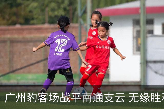 广州豹客场战平南通支云 无缘胜利