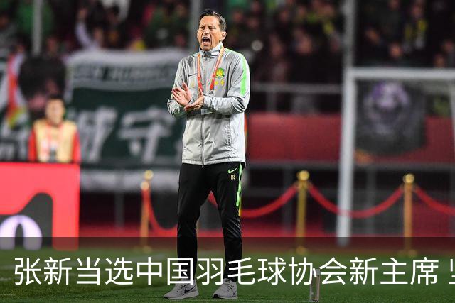 张新当选中国羽毛球协会新主席 坚持反腐斗争