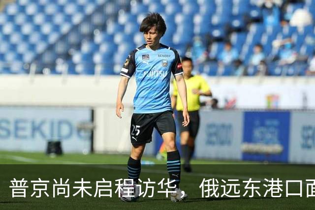 普京尚未启程访华，俄远东港口面临物流危机
