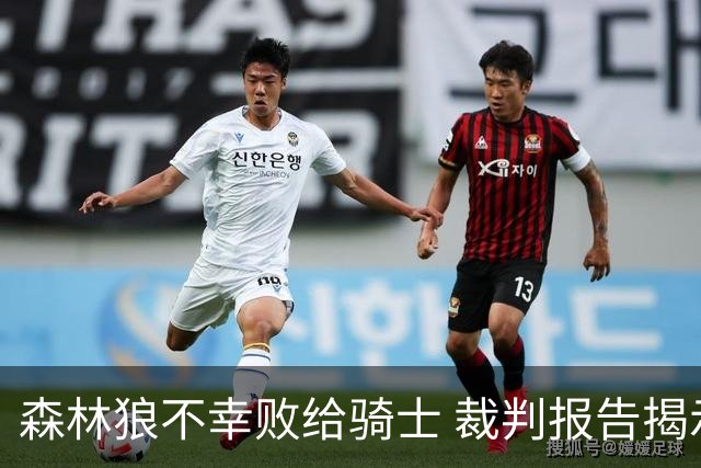 森林狼不幸败给骑士 裁判报告揭示争议判罚