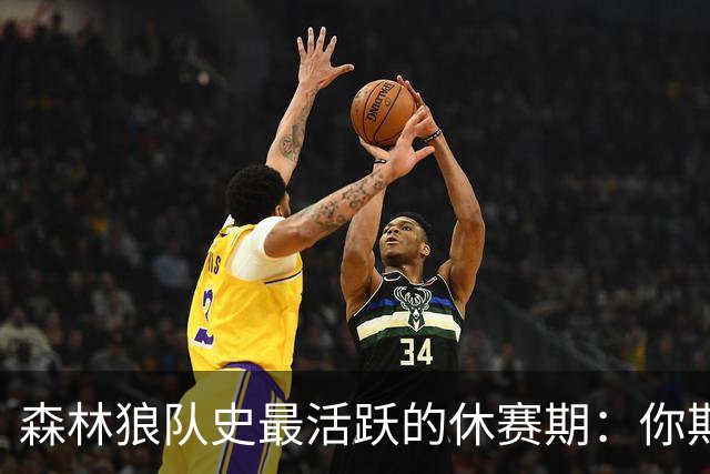森林狼队史最活跃的休赛期：你期待谁的首秀？