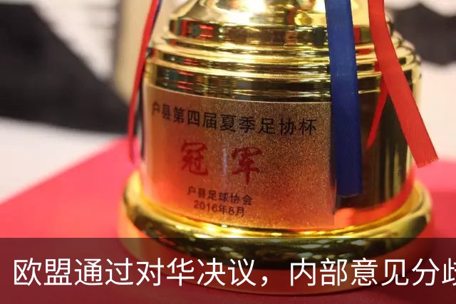 欧盟通过对华决议，内部意见分歧明显