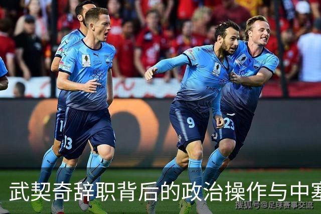 武契奇辞职背后的政治操作与中塞关系展望