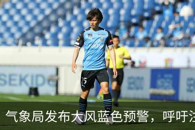 气象局发布大风蓝色预警，呼吁注意安全