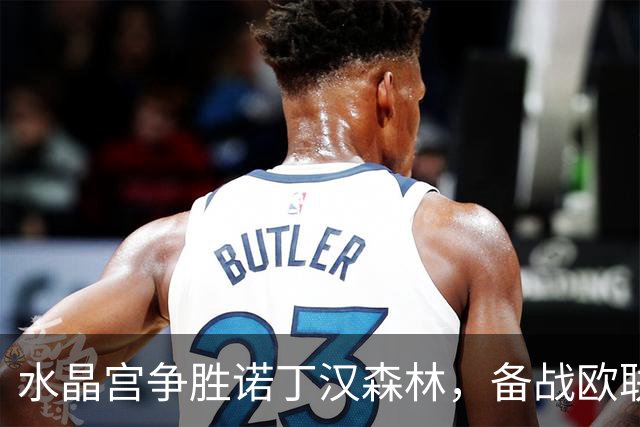 水晶宫争胜诺丁汉森林，备战欧联杯迎战里昂