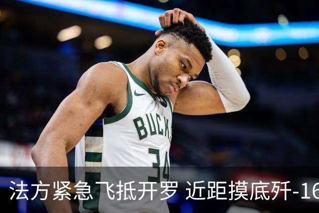 法方紧急飞抵开罗 近距摸底歼-16亮相非洲