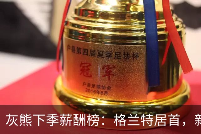 灰熊下季薪酬榜：格兰特居首，新秀也上前三
