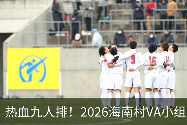 热血九人排！2026海南村VA小组赛第十日直播回放
