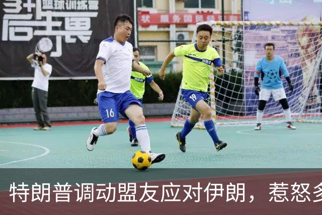 特朗普调动盟友应对伊朗，惹怒多国反响强烈