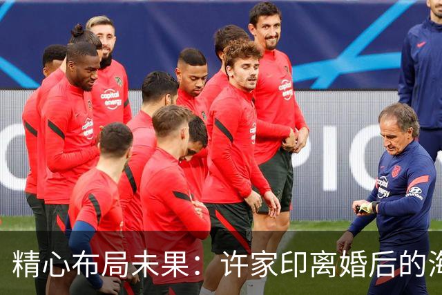 精心布局未果：许家印离婚后的海外资产被全面冻结