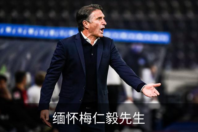 缅怀梅仁毅先生