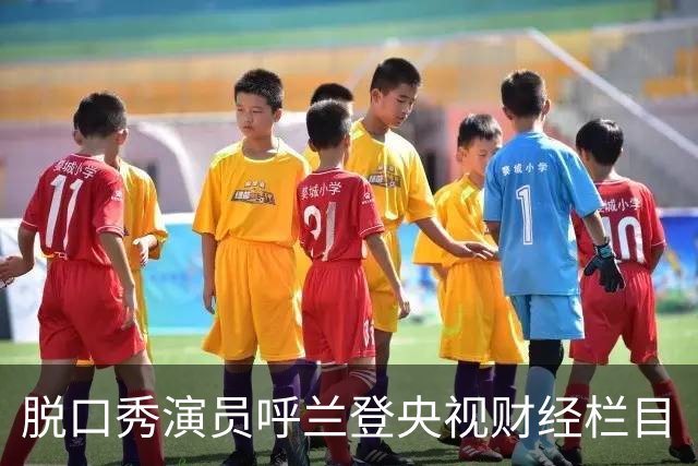 脱口秀演员呼兰登央视财经栏目