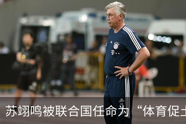 苏翊鸣被联合国任命为“体育促土地”大使