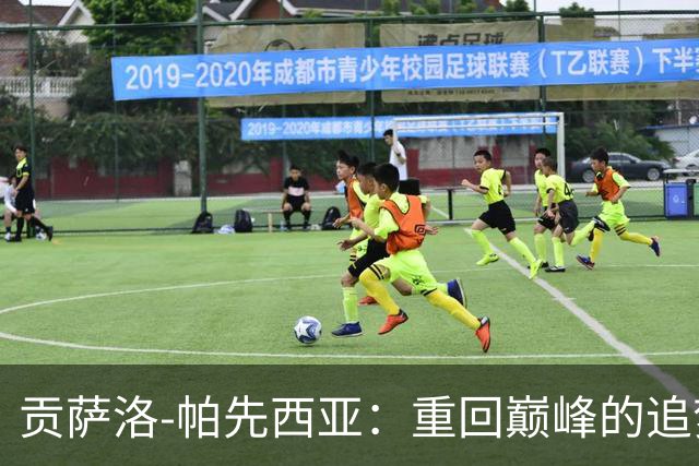 贡萨洛-帕先西亚：重回巅峰的追梦之旅