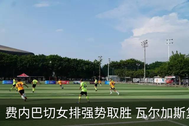 费内巴切女排强势取胜 瓦尔加斯复出助阵