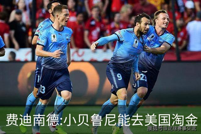 费迪南德:小贝鲁尼能去美国淘金 C罗也可以去沙特