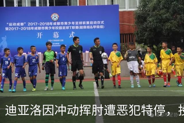 迪亚洛因冲动挥肘遭恶犯特停，投掷篮球被罚出场