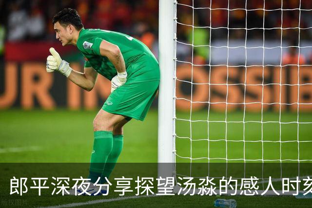 郎平深夜分享探望汤淼的感人时刻，引发排球迷共鸣
