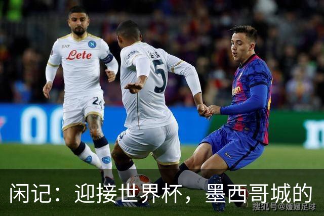 闲记：迎接世界杯，墨西哥城的“蝾螈化”实验