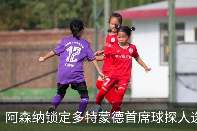 阿森纳锁定多特蒙德首席球探人选