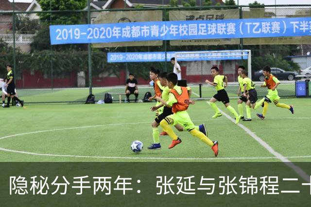 隐秘分手两年：张延与张锦程二十年婚姻平静收场