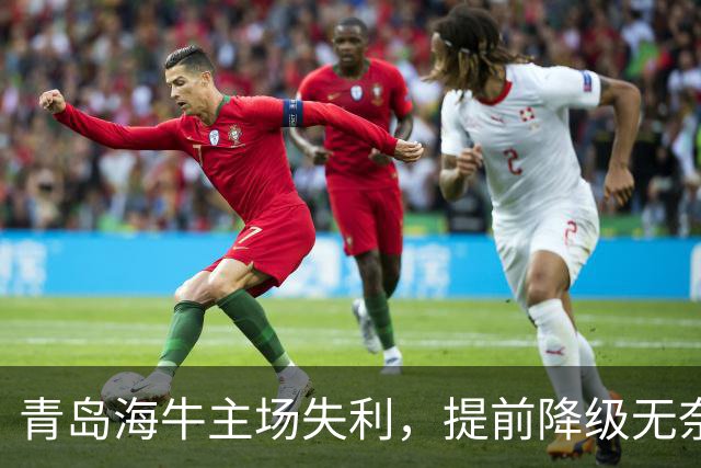青岛海牛主场失利，提前降级无奈回归中甲