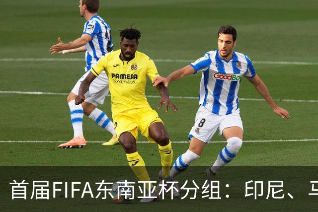 首届FIFA东南亚杯分组：印尼、马来西亚同组，越南、泰国同组