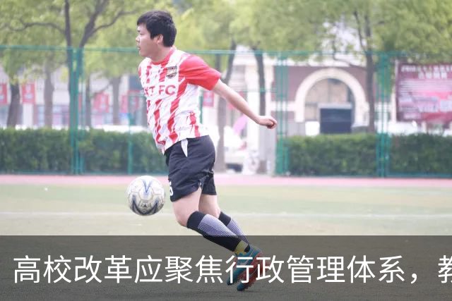 高校改革应聚焦行政管理体系，教师压力不应加重
