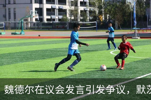 魏德尔在议会发言引发争议，默茨强硬回应