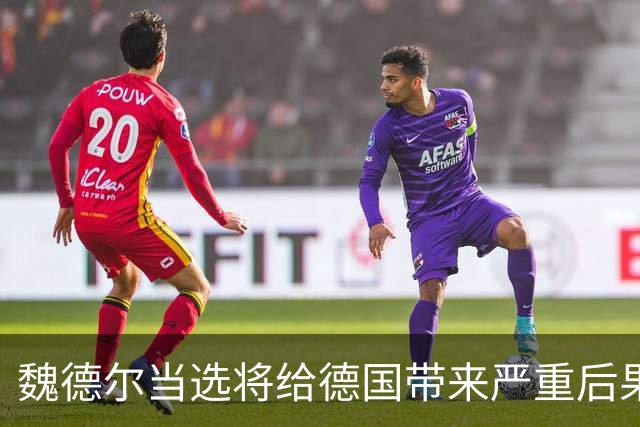 魏德尔当选将给德国带来严重后果